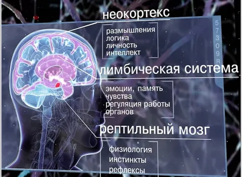 Изображение 9 из 15 в галерее "Кабинет психолога Дмитрия Дерика"